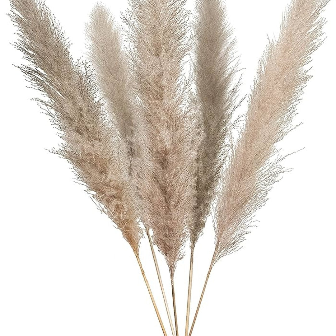 Bohemian Pampas Pluimen - Stijlvolle Natuurlijke Decoratie