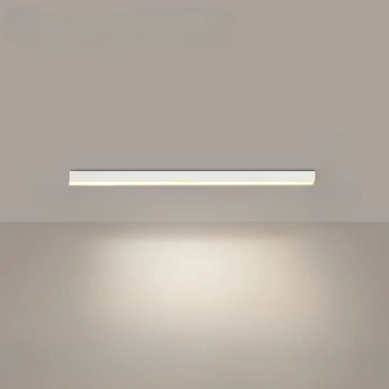 Minimalist LED Ceiling Light